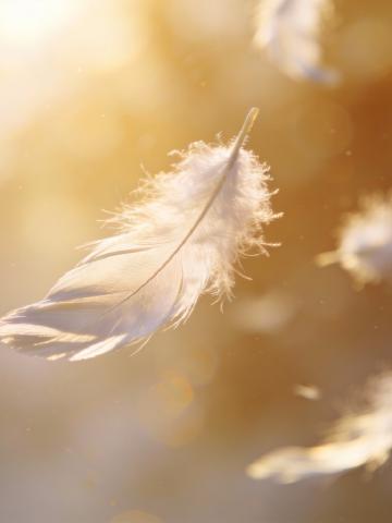 Angel Numbers Guide Angel Numbers Guide feature image