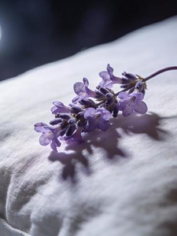 Dream Interpretation Guide Dream Interpretation Guide feature image